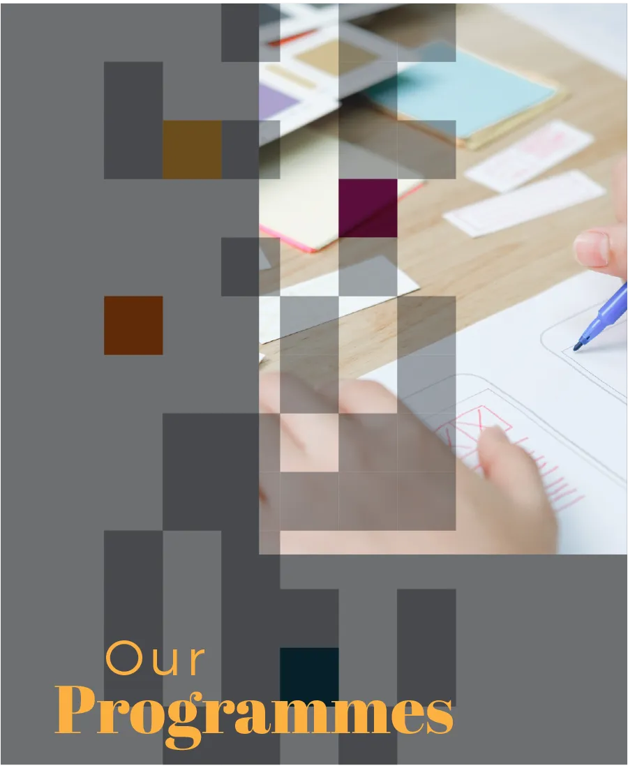 Our Programmes (PDF)